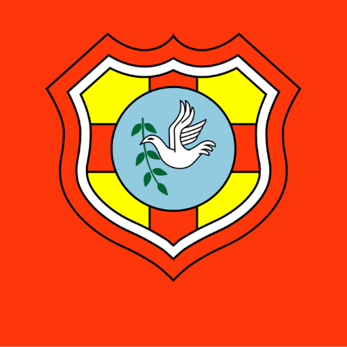 Skjortor Tonga