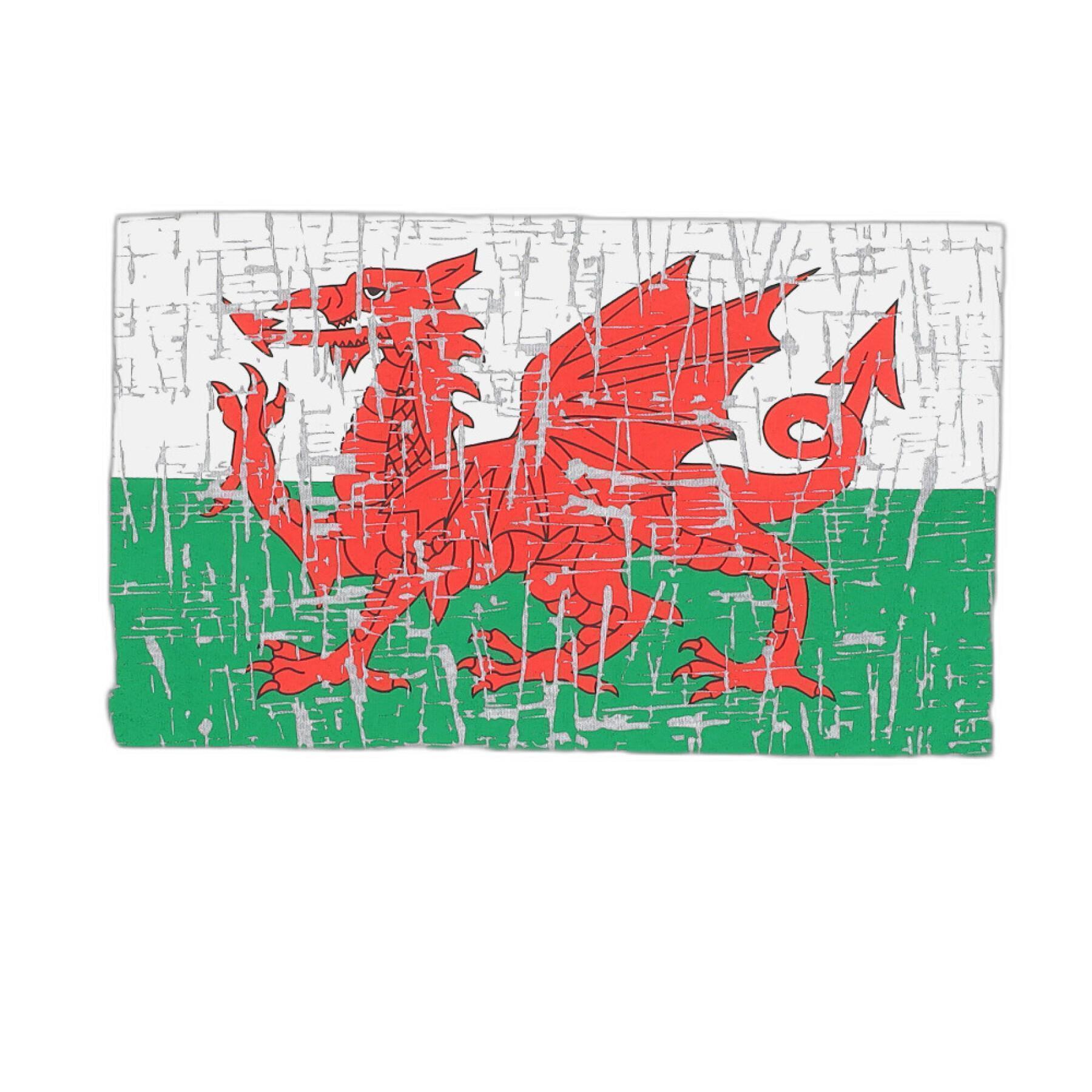 T-shirt för barn Pays de Galles Rugby XV 2020/21