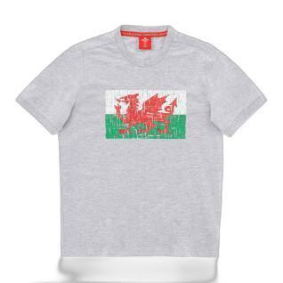 T-shirt för barn Pays de Galles Rugby XV 2020/21