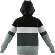 Sweatshirt för barn adidas Colorblock Fleece